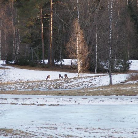 Cosy Private Cottage With Stunning View Sunne Eksteriør bilde