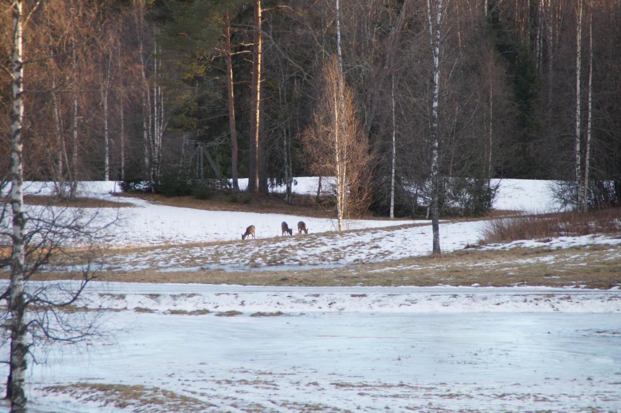 Cosy Private Cottage With Stunning View Sunne Eksteriør bilde