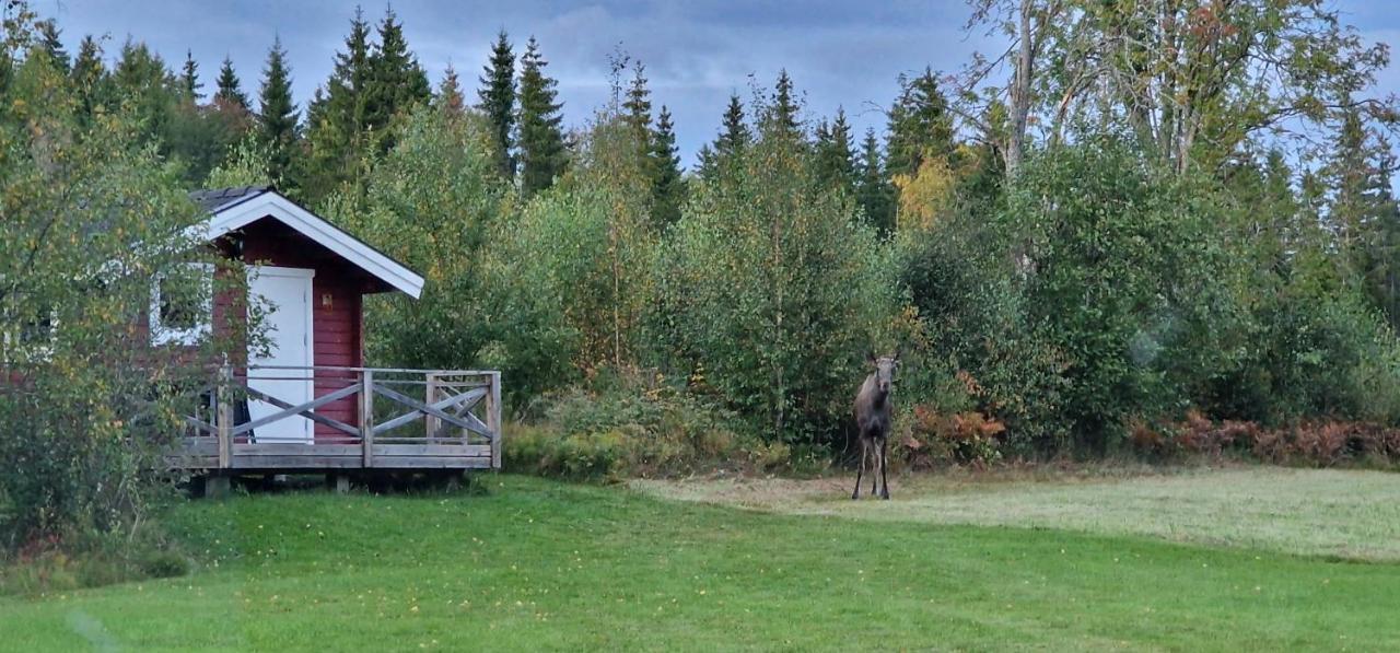 Cosy Private Cottage With Stunning View Sunne Eksteriør bilde
