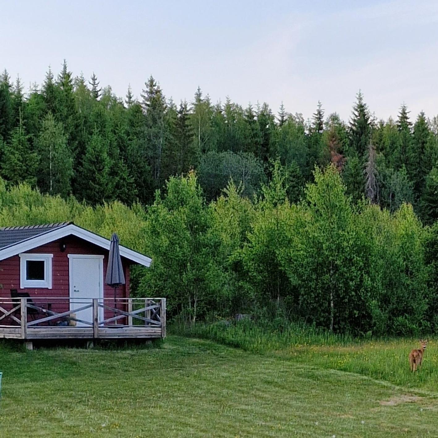 Cosy Private Cottage With Stunning View Sunne Eksteriør bilde
